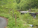 2006-05-30 002.JPG